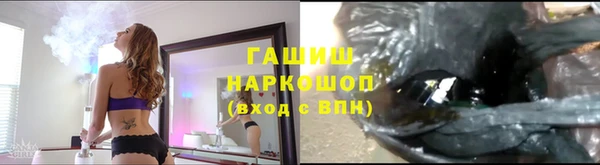 ешки Аркадак