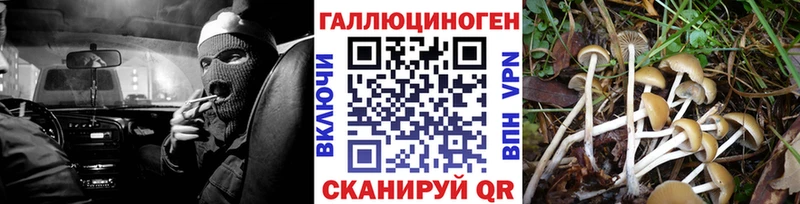 Псилоцибиновые грибы GOLDEN TEACHER  MEGA ссылки  Кириши 